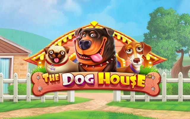 The dog house