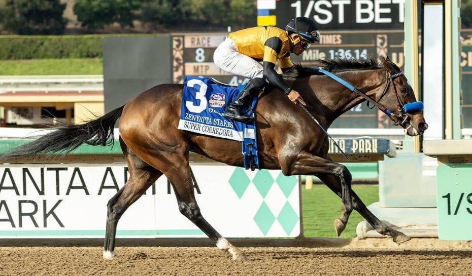 Cómo influye la última curva en la velocidad de los caballos de carrera